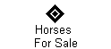 Horses  
 For Sale