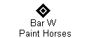 Bar W 
  Paint Horses