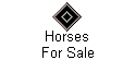 Horses 
 For Sale